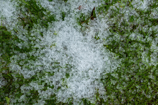 Hailstones Covering Green Grass After a Hailstorm
