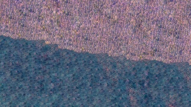 Abstract mauve and violet textured surface with vertical painterly streaks, muted olive highlights, and a deep teal lower field for textile-inspired backgrounds, overlays, and creative compositions