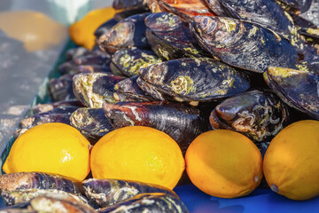 Fresh black mussels arranged with lemons for sale at a seafood market © Elena