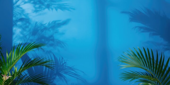 Tropical Green Palms Casting Shadows Against a Blue Wall Background