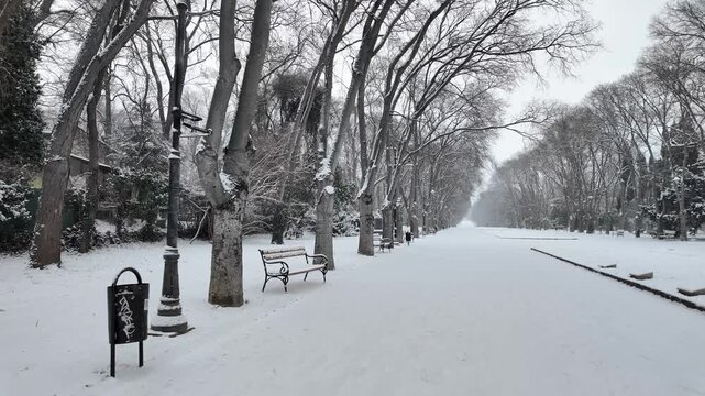 Serene Winter Landscape with a Long Snow-Covered Park Avenue, Rows of Empty Benches on Quiet Winter Day, Peaceful Snowy Pathway
