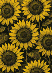 Fototapeta premium Vibrant sunflowers textured illustration.