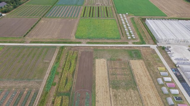 Drone view of agricultural fields, greenhouses and crop patterns across the Dutch countryside