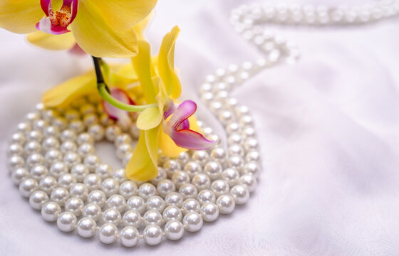 The branch of yellow orchids on white fabric background
