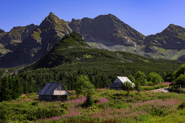 Hala Gąsienicowa-Tatry © SarahPictures