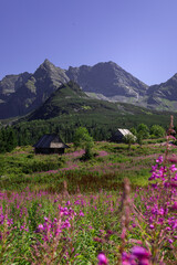 Hala Gąsienicowa-Tatry © SarahPictures