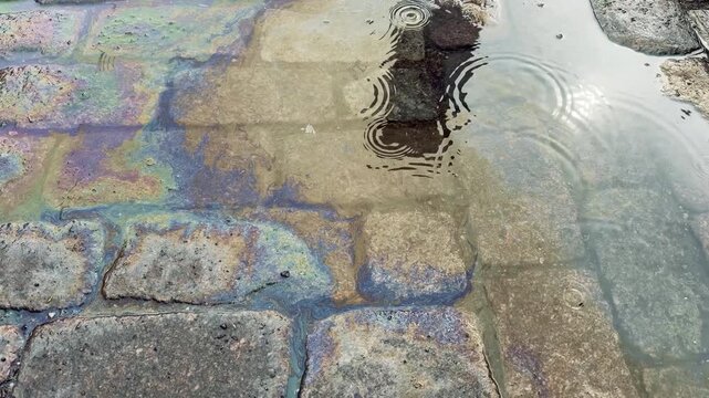 Raindrops Falling on an Oil Covered Puddle in the Street