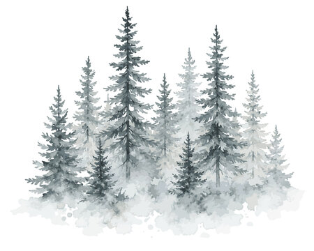 Watercolor painting of a dense forest of pine trees in winter.
