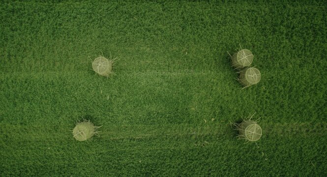 Aerial View of Round Hay Bales in Green Field