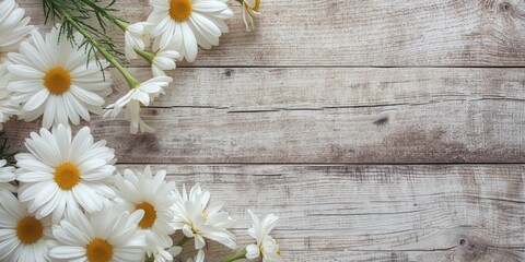 Obraz premium White Daisies Arranged on Rustic Wooden Background in Natural Light