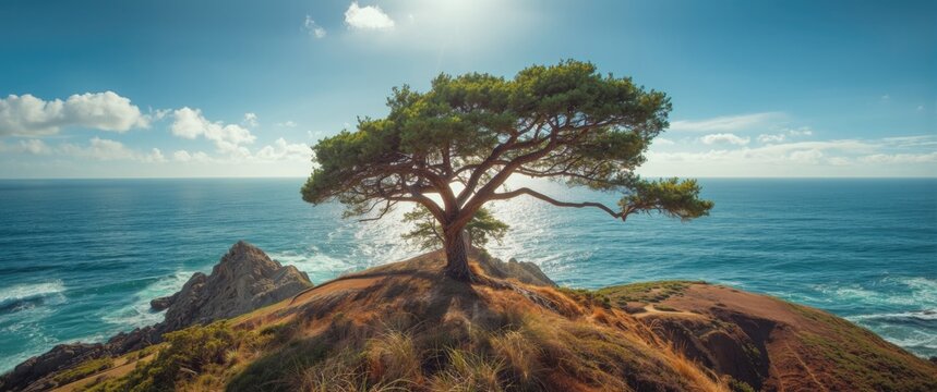 Lonely Tree on a Cliff Overlooking the Ocean Under a Bright Sky