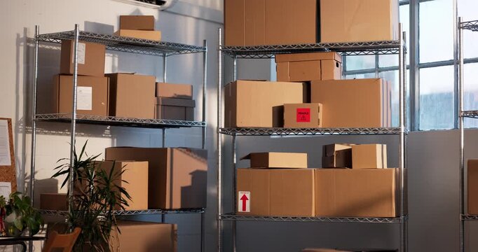 Boxes, shelf or storage for logistics startup, distribution or shipping facility with parcel or stock. Empty, small business or courier service with package, inventory and supplier for dropshipping