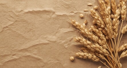 Fototapeta premium Dried Wheat Stalks on Crumpled Brown Paper Background in Soft Natural Light