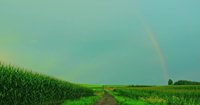 Rainbow over green farmland in Hokkaido, Japan