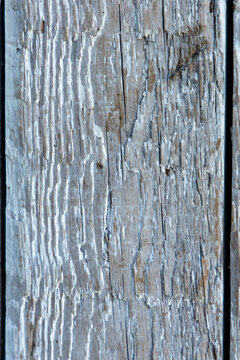 Rustic wood texture background space for text and design elements with neutral tones and natural lines