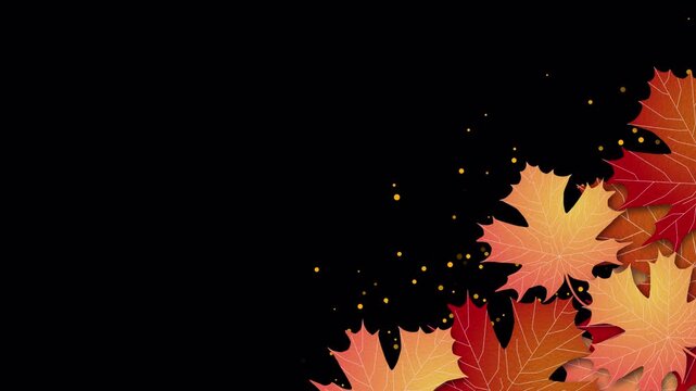 motion autumn maple leaves on transparent background, alpha channel