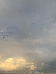 Fototapeta premium Birds Flying in Cloudy Sunset Sky with Golden Light