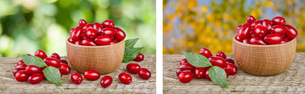 dogwood berry with leaf in bowl on wooden table with a blurry garden background