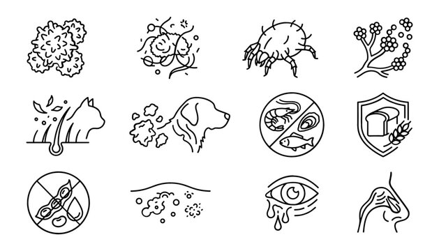 Allergy and Allergen Types Line Icon Set Featuring Pet Dander Dust Mites Seafood Gluten Restrictions Food Intolerances Skin Rash and Crying Eye Symptoms