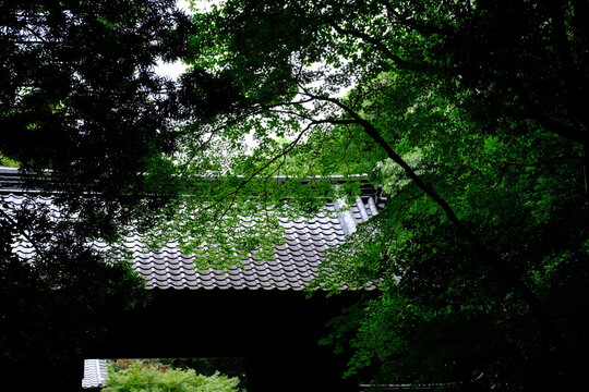 妙興寺