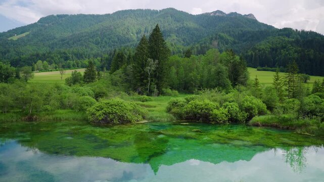 Tranquil Lake With Clear Reflections Of Surrounding Forests And Mountains At Zelenci Nature Reserve In Slovenia. Wide Shot