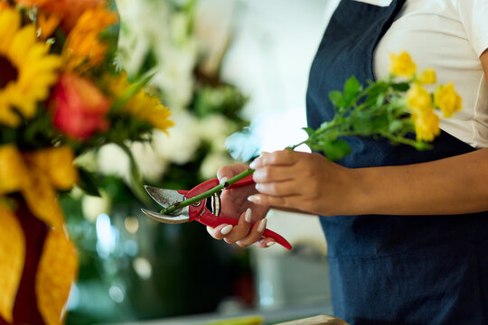 Florist Trimming Stems in Flower Shop Preparing Bouquet With Yellow Roses and Sunflowers