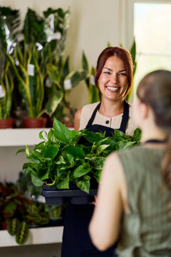 Smiling Plant Shop Owner Helping Customer With Houseplants in Small Business Nursery