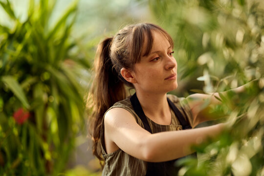 Young Woman Tending Plants in Greenhouse Wearing Apron, Small Business Plant Care and Gardening Lifestyle