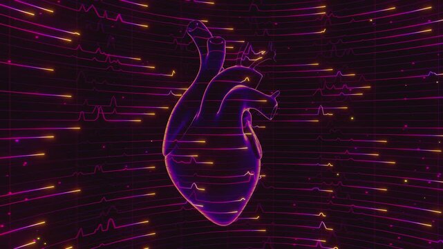 Seamless loop of anatomical human heart surrounded by glowing cardiogram pulse waves. Digital futuristic medical interface model showing dynamic heartbeat telemetry and medical science background.