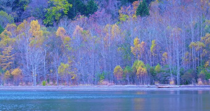 Autumn forest reflected in a peaceful lake in Hokkaido, Japan