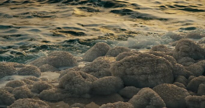 Natural salt formations on the Dead Sea shoreline in Jordan with gentle waves and warm evening light creating a peaceful hypersaline landscape.