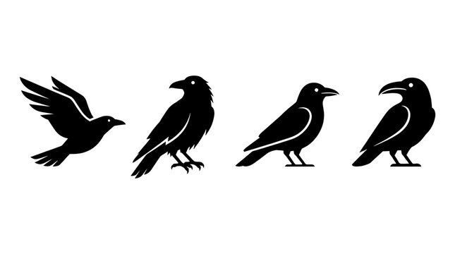 Black crow and raven silhouettes in different poses.