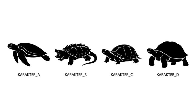 Diverse turtle silhouettes representing various species profiles.