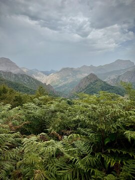 mountain landscape with clouds in the Picos, Spain