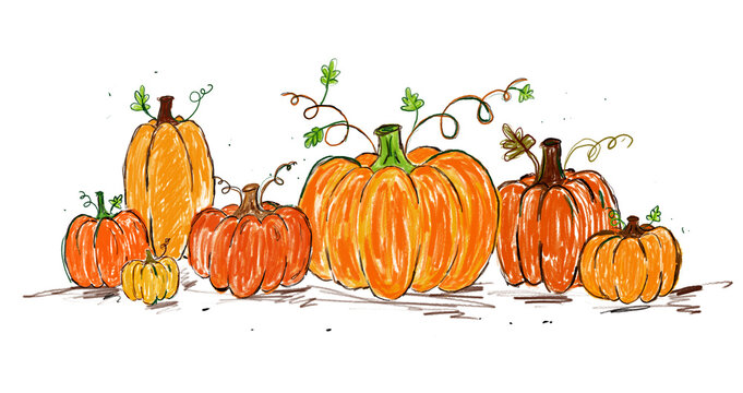 Hand drawn pumpkins,autumn