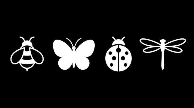 White insect silhouettes including bee and butterfly on black.