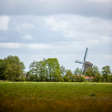 Traditional Dutch windmill in a green meadow. Historic countryside landscape featuring a classic mill, lush grass fields, and cloudy sky.