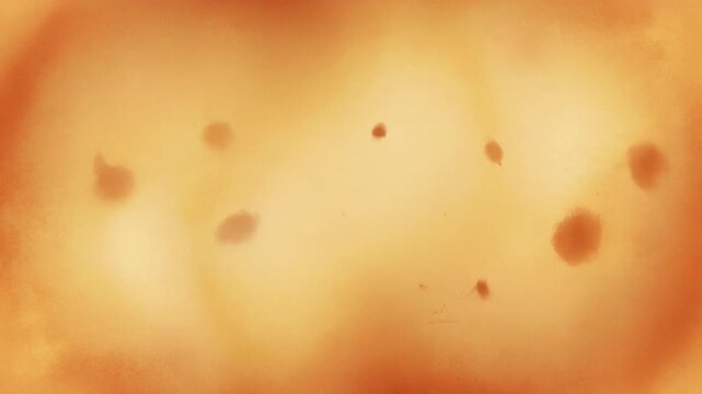 Sepia Paper Ink Vintage Writing Background