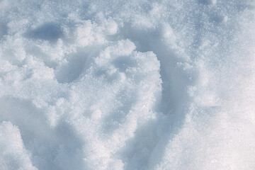 Close up of white snow texture with soft shadows © Sabineyro
