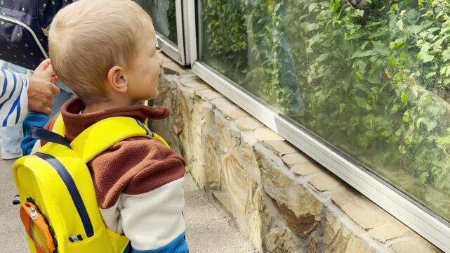 A young boy with a yellow backpack watches happily into a green animal enclosure. This joyful moment at the Leningrad Zoo in Saint Petersburg evokes a feeling of excited wonder and tender family love.