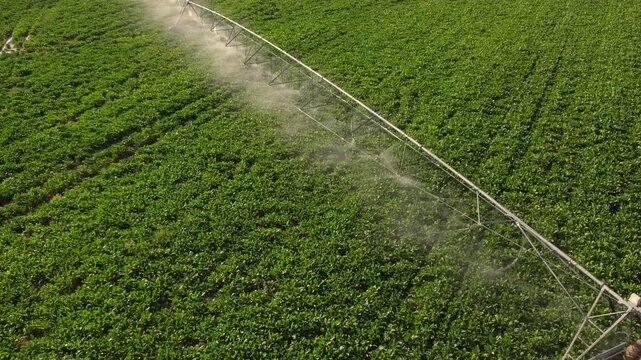 Aerial view of a center pivot irrigation system watering a lush green agricultural field with sprinklers spraying water drops