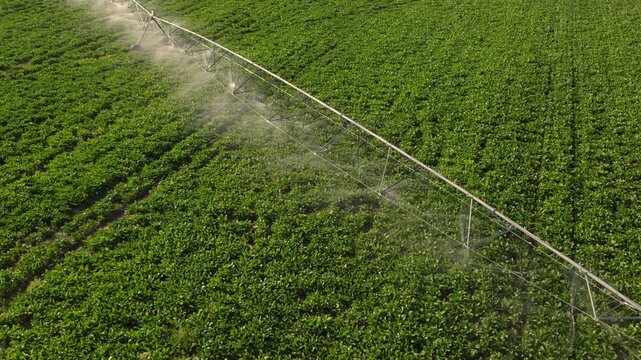 Center pivot irrigation system spraying water on a lush green agricultural field from an aerial perspective