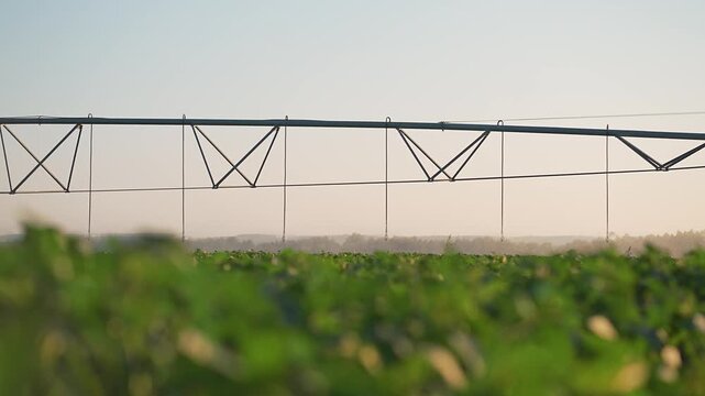 Farming sprinkler sprays water on plantation. Field receives irrigation for growing crop. Agriculture system helps manage farmland watering. Plantation field supported by sprinkler irrigation crop