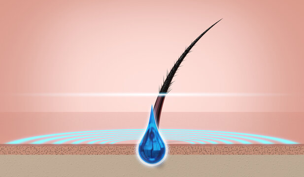 Single hair regeneration with shampoo drop - 3d illustration