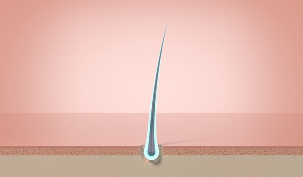 Glowing shiny healthy single hair strand growing from follicle - 3d illustration