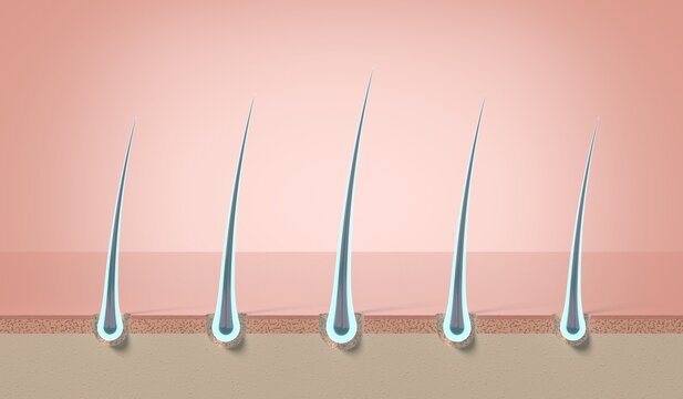 Multiple glowing shiny hair strands growing from scalp follicles - 3d illustration