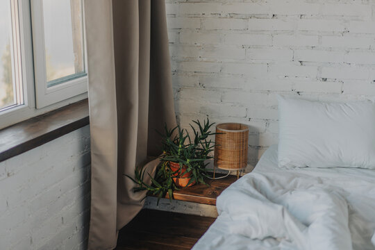Cozy bedroom interior details. Bedside table with succulent plant and modern lamp near empty unmade bed in morning light.