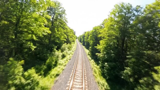 Railway Tracks Through Lush Forest: A symmetrical perspective of railway tracks disappearing into a dense forest of vibrant green trees under a bright, clear sky.