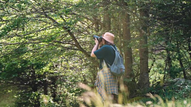 Female travel photographer taking photos with a DSLR camera while walking through a beautiful green forest, capturing nature exploration, outdoor adventure and travel photography.
