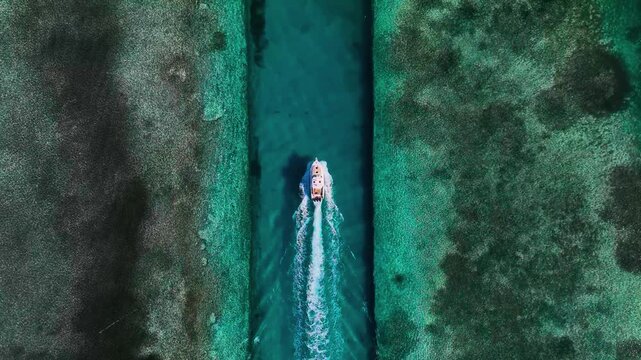 A breathtaking cinematic top-down aerial tracking view capturing a sleek white motorboat gliding smoothly through a narrow, winding channel of brilliant turquoise coral reef water.